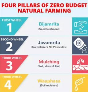 Know Each Aspect about Zero-Budget Natural Farming 2