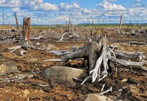 Intensive Farming – Worth The Effort!! 2