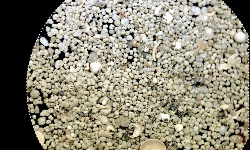 Climate change could reawaken Indian Ocean El Nino