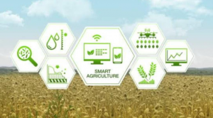 Greenstories-Agriculture