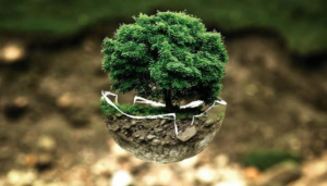 Impact of Human Activities on Environment 1 Greenstories-Environment