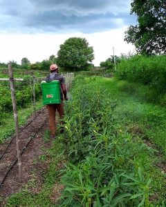 Chemical Fertilizer Manufacturer Goes Organic 1