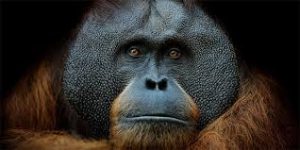 Greenstories-download (1)