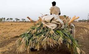Why Many Farmers And Some Parties Oppose The New Farm Laws: 10 Points 1