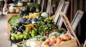 Relying on 'local food' is a distant dream for most of the world 1 Relying on 'local food' is a distant dream for most of the world 1