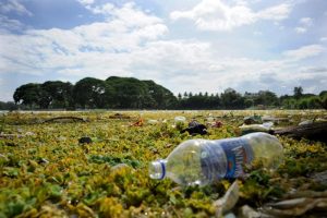 greenstories-file7avtnmzca4x2k5p0is4-934223-1609528958