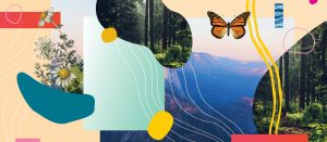 A Hike Can Make Your Entire Vacation More Relaxing, Studies Show 1