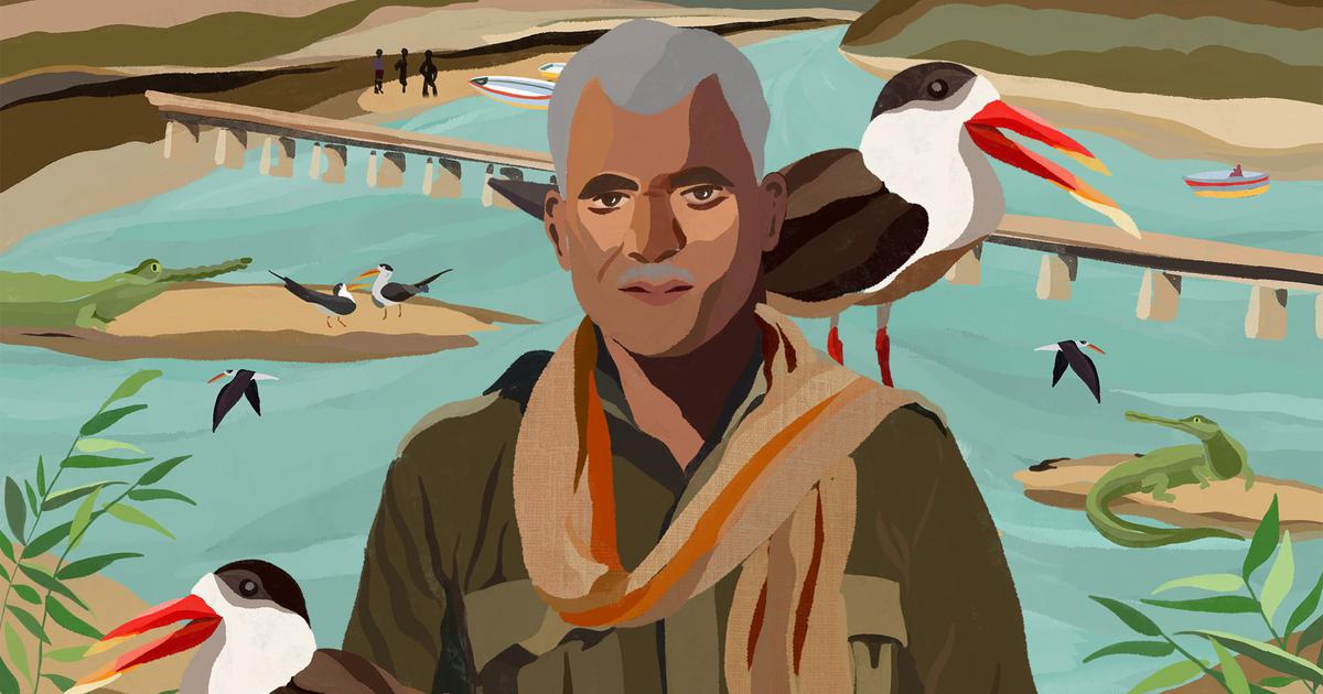 In Chambal, a chowkidar turns conservationist to protect endangered migratory birds