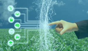 Greenstories-Farming