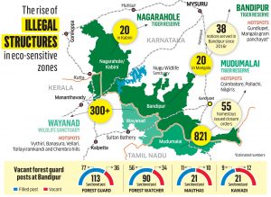 Illicit tourism extracts its cost from nature 2