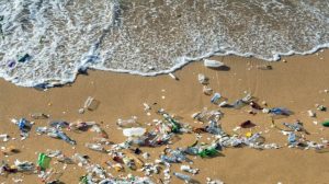 Protecting the planet, one step at a time: Could agricultural waste help save oceans? 1