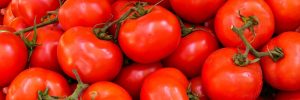 The technologies for farming under glass (and growing 3 million pounds of tomatoes) 1 Greenstories-banner-tomatoes-1920x640