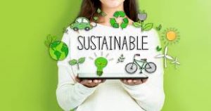 Three ways SMEs can embrace sustainability 1