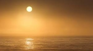 Greenstories-download