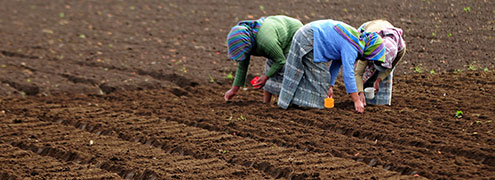 The role of women in rural development, food production and poverty eradication