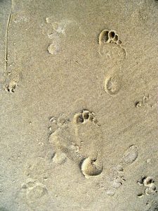 Water footprints - need to calculate to avoid a water crisis. 1 Greenstories-Foot print