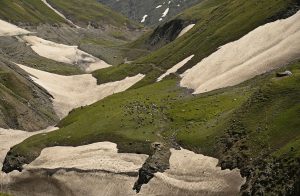 Border Disputes Threaten Climate Science in the Himalayas 1 Border Disputes Threaten Climate Science in the Himalayas 1