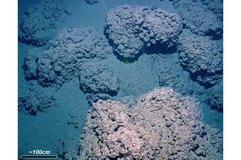 Arctic methane release due to melting ice is likely to happen again