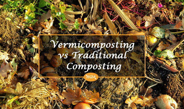 Vermicomposting vs Traditional Composting, or Why Worms Are Really Cool