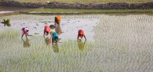 A warmer world will hurt this group more than any other 1 A warmer world will hurt this group more than any other 1