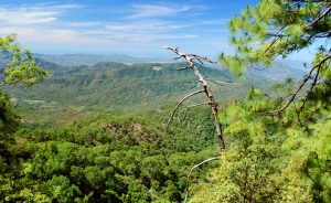 Growing support for valuing ecosystems will help conserve the planet 1