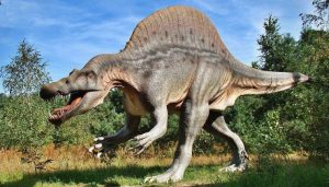 Well-preserved Fossil Of Bird-like Dinosaur Sitting Atop Nest Of Eggs Discovered In Spain 1