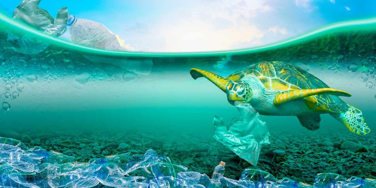 17 sustainable alternatives to single-use plastics