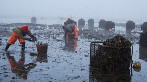 The chemistry behind water pollution 2 The chemistry behind water pollution 1