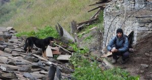 A booming population of feral dogs is threatening the biodiversity in the Himalayas 1