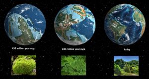 Emergence, Evolution, and Extinction of Life on Earth! 2