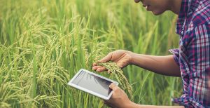 Technology for Improving Agricultural Productivity 1 Technology for Improving Agricultural Productivity 1