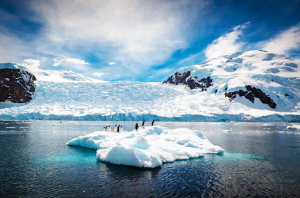 Everything You Need To Know About Climate Change 2