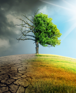 Greenstories-Climate change