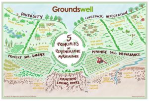 5 Principles of Regenerative Agriculture