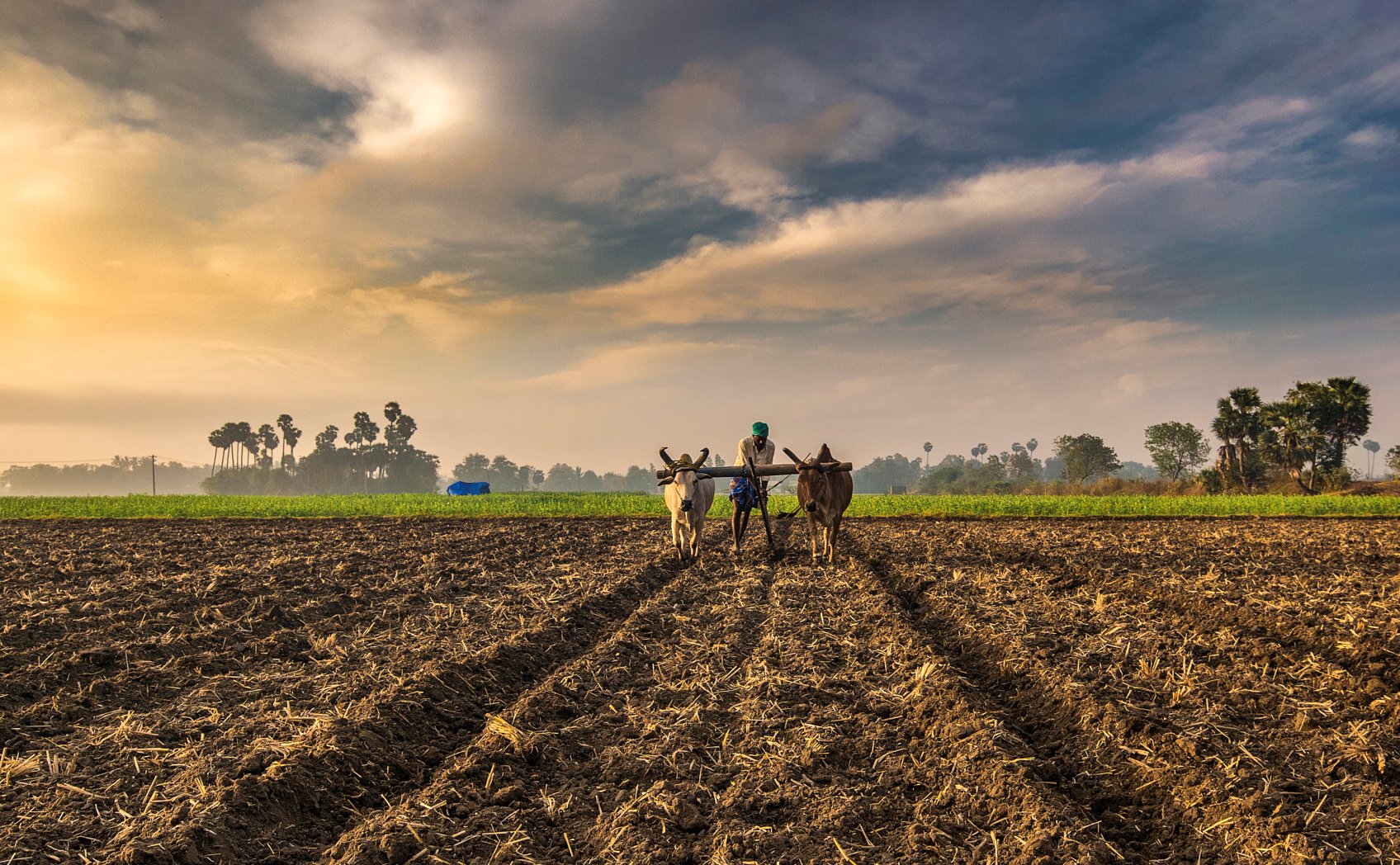 India’s Biggest Challenge: The Future of Farming