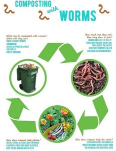 Vermicompost's Role in Farming 1