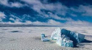 Greenstories-download (1)