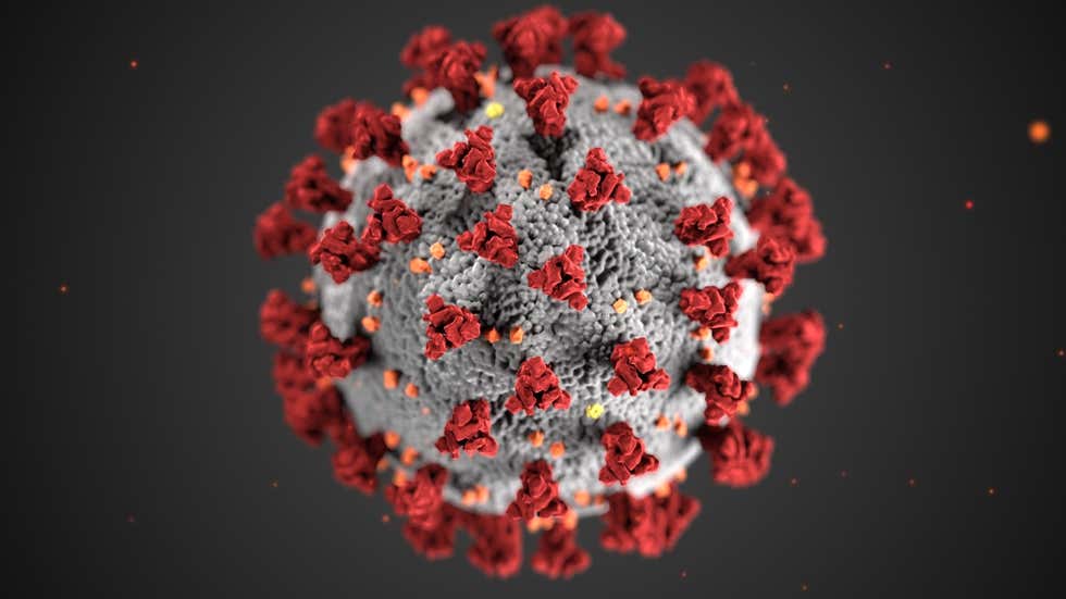 India’s Double Mutant Coronavirus Variant Named B.1.617; Here’s Why It Is a Concern