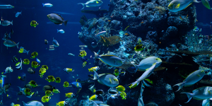 Revolutionary Techniques Using Environmental DNA Are Analysing Entire Ecosystems 1 Revolutionary Techniques Using Environmental DNA Are Analysing Entire Ecosystems 1