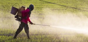 The Hidden Dangers of Chemical Fertilizers 1