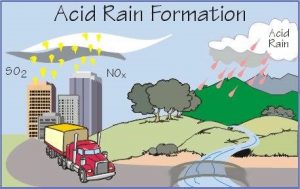 Acid Rain – Impact on The Environment! 1