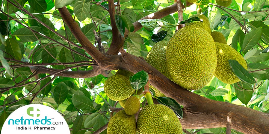 Jackfruit: Health Benefits, Uses, Varieties, Recipes And Side Effects