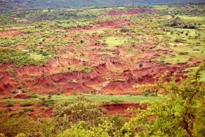 Desertification – Reducing Quality Of Drylands!!! 4 Desertification – Reducing Quality Of Drylands!!! 4