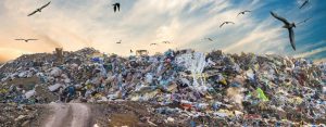 “Waste – A Danger Need to be Recognized Sooner than Later” 1
