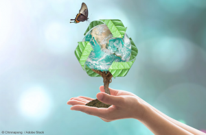 5 Ways In Which We Can Help The Environment 1