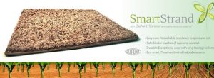 Sustainable Smart Home Devices 5