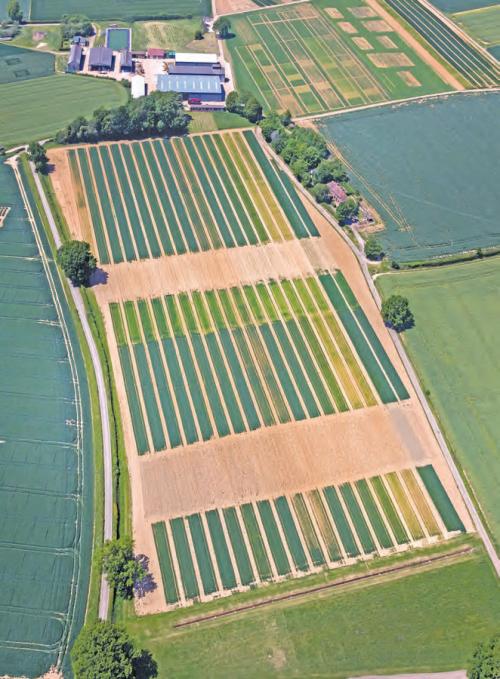 World’s longest running farm study adds to organic-inorganic debate