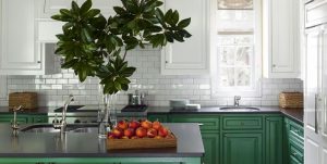 THE BEST AIR-PURIFYING PLANTS FOR A HEALTHIER HOME 1 THE BEST AIR-PURIFYING PLANTS FOR A HEALTHIER HOME 1