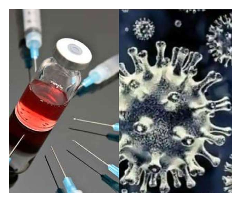 Black Fungus Treatment: 3 simple oral hygiene tips you must follow to prevent this fungal infection