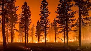 With its reliance on familiar templates, American climate fiction is fuelling outdated ideas about modern migration